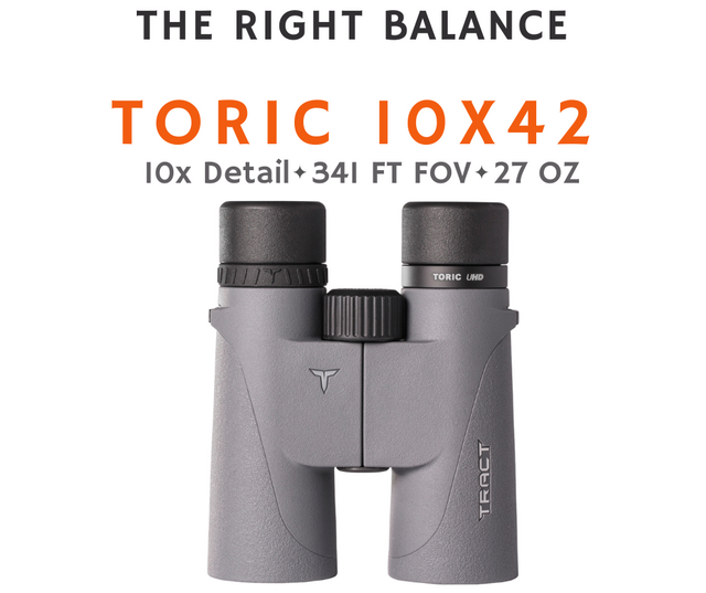 black over the shoulder handbag