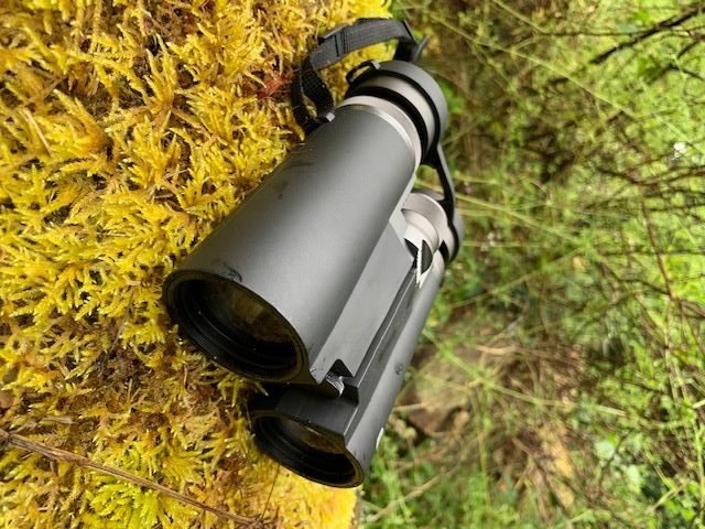 bright gold purse with chain